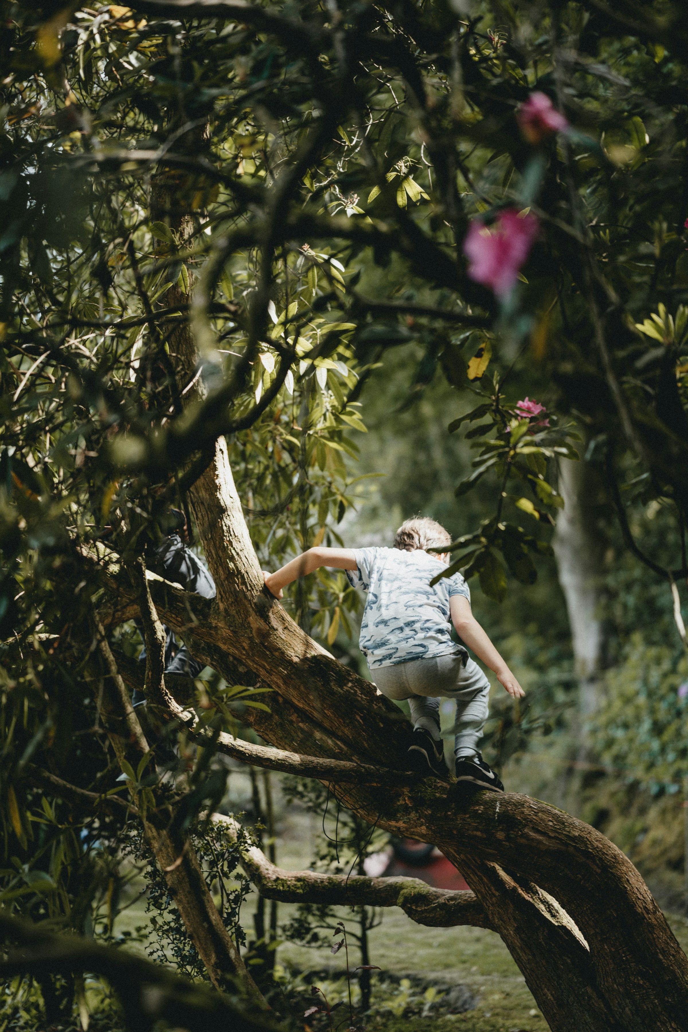 Child exploring nature confidently, demonstrating resilience building through outdoor adventures and natural play